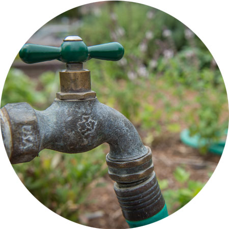 faucet at Stanford Gardens