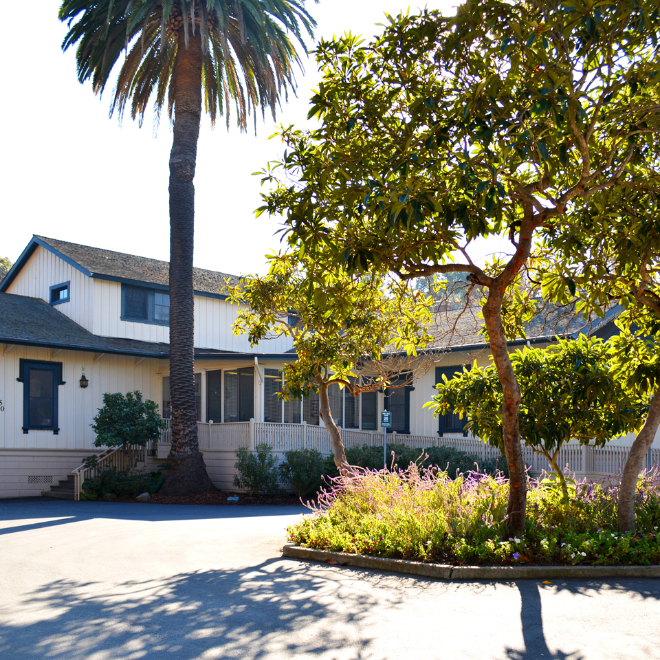 stanford emotional support animal