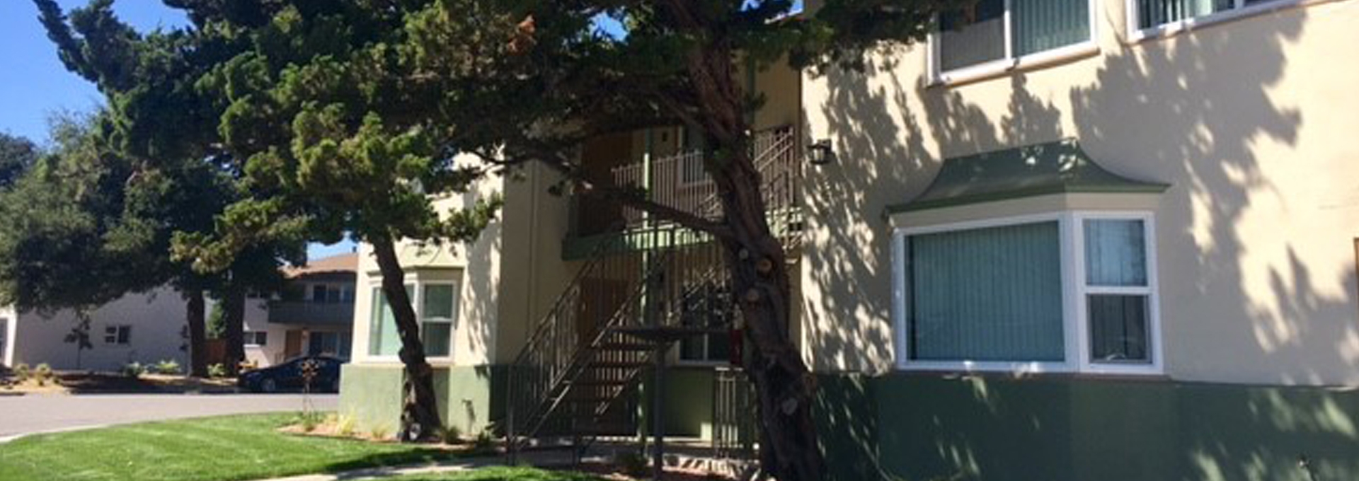 348 Waverley Street 348 Waverley Street