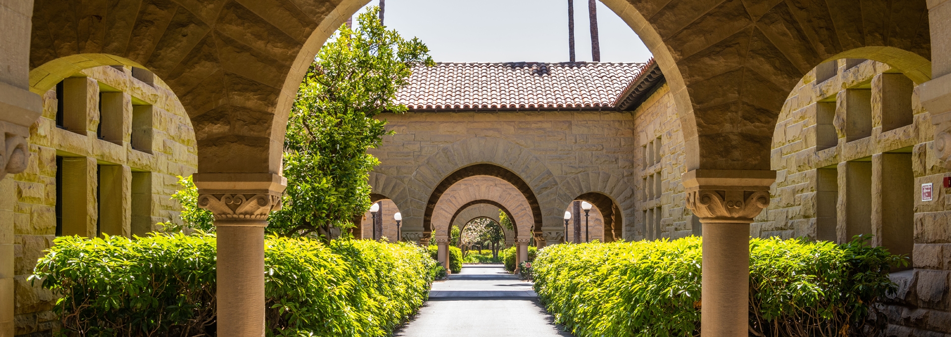 Stanford campus Stanford campus