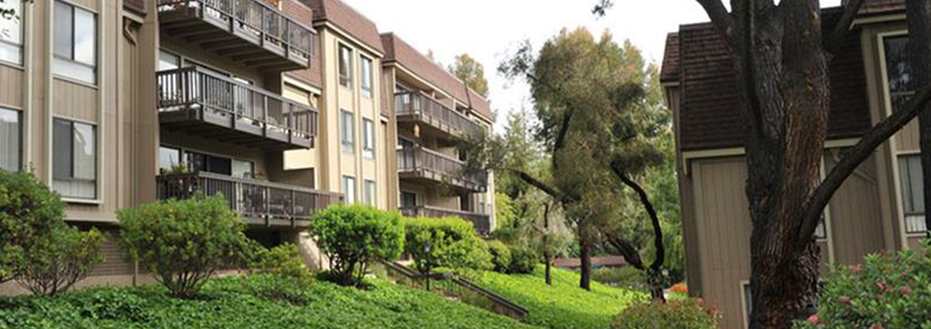 Seven Oaks Apartments Stanford Rde