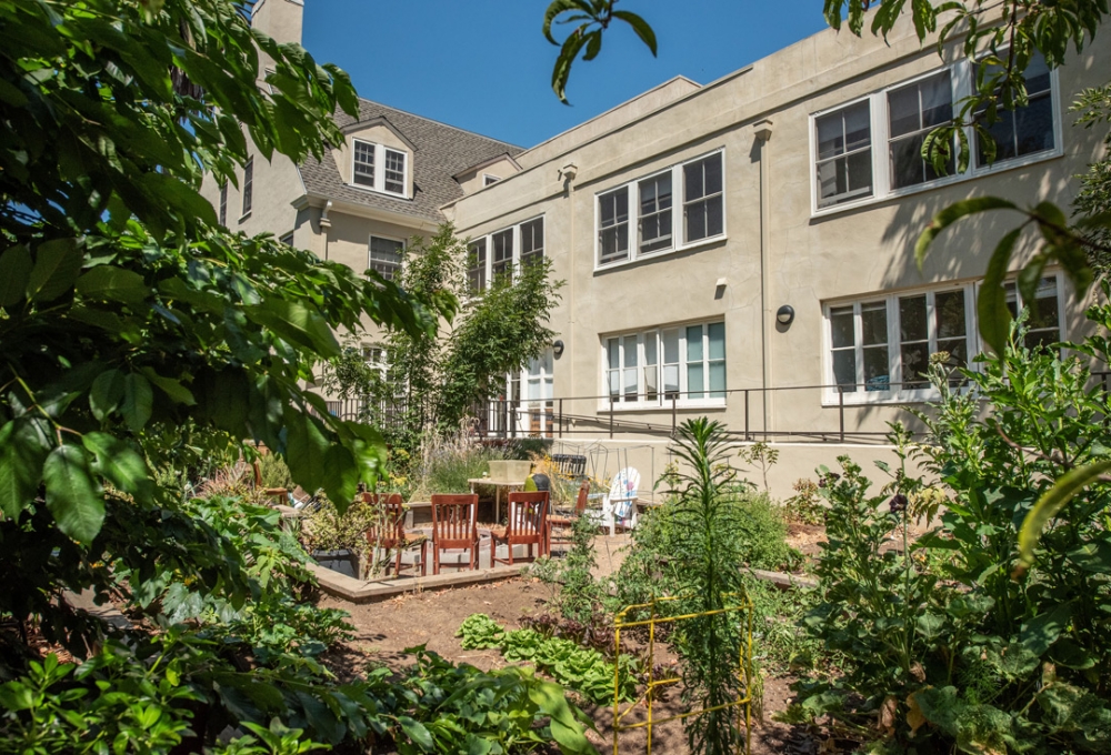 Columbae - Courtyard Columbae - Courtyard
