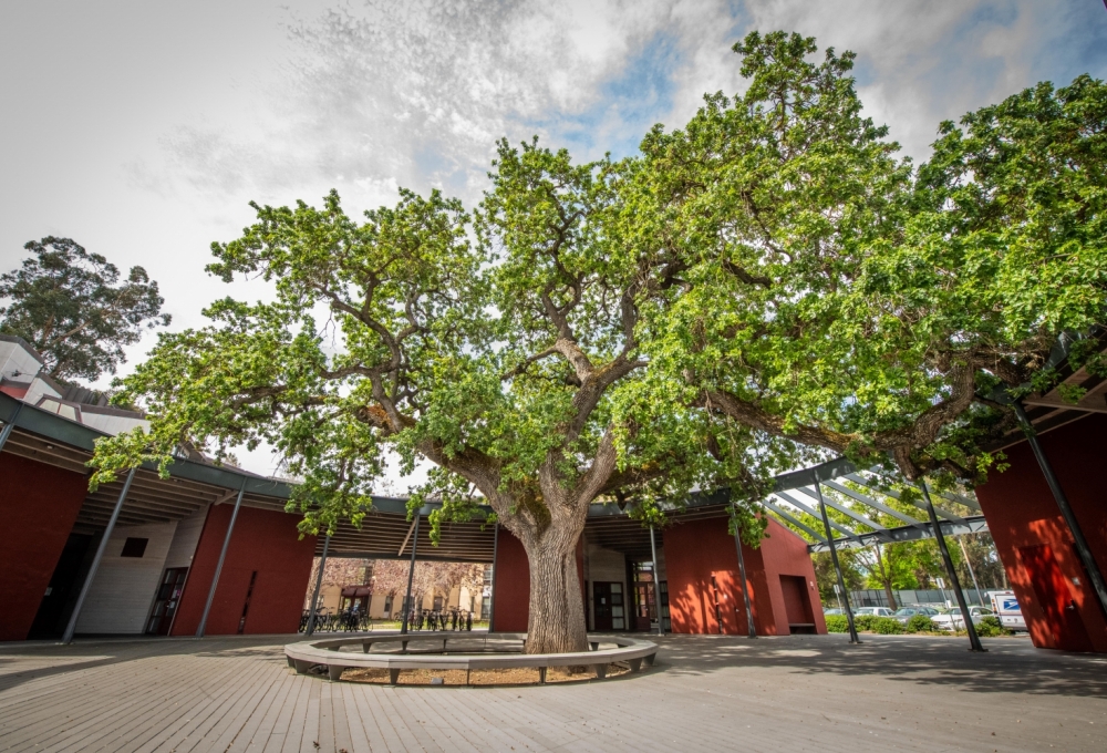 Lyman, Atrium Lyman, Atrium