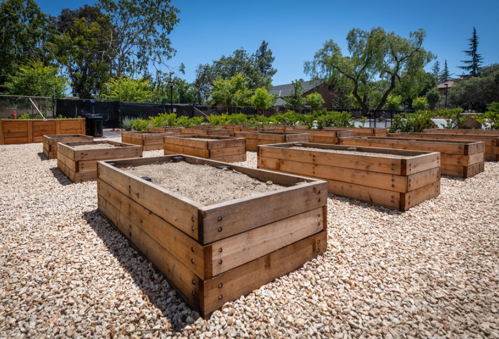 Community Garden Community Garden