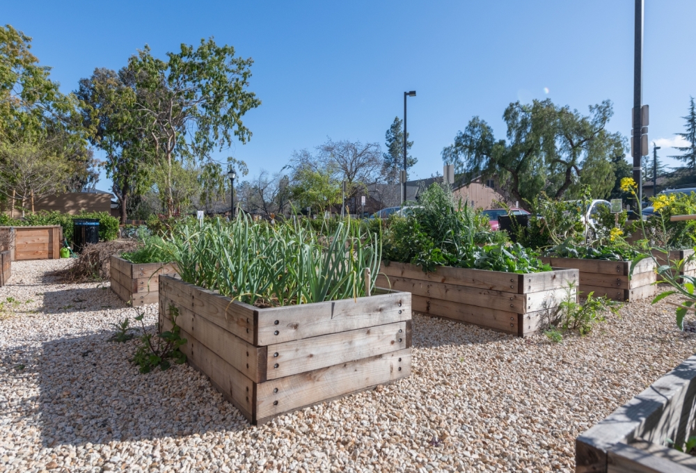 EVGR, Community Garden EVGR, Community Garden