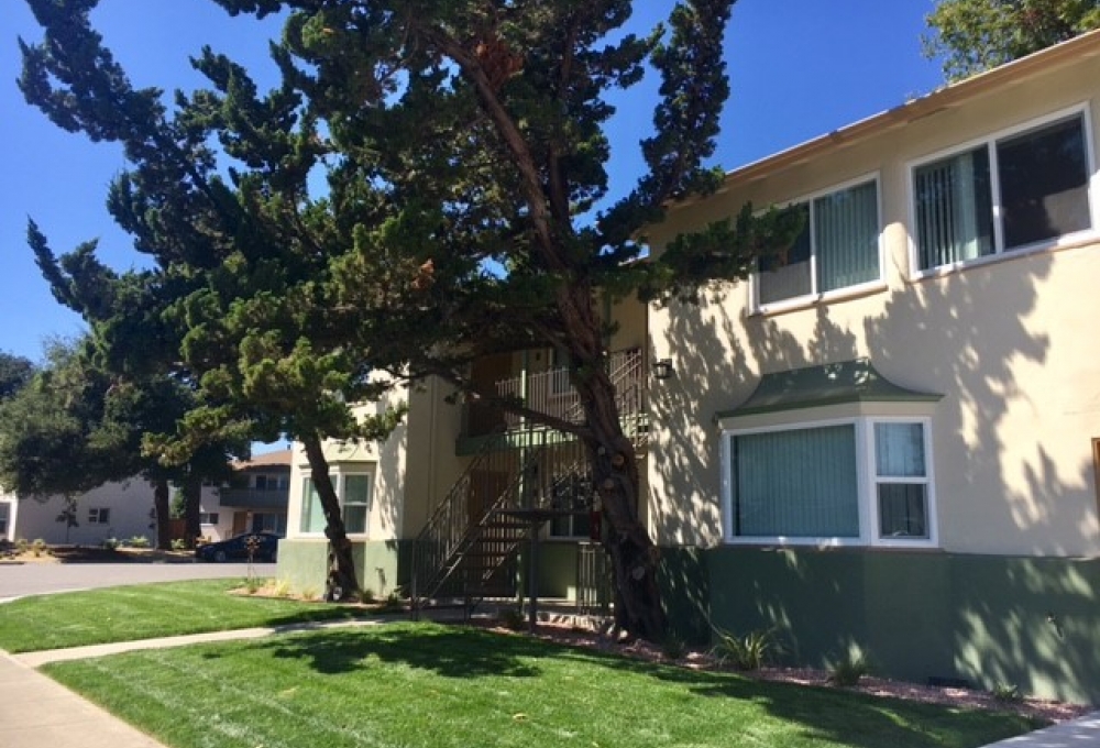348 Waverley Street 348 Waverley Street
