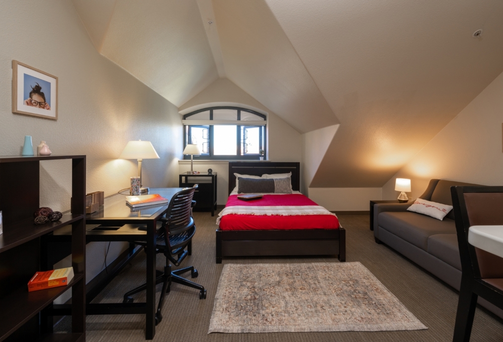Standard Studio, Bed, Living and Dining Room Standard Studio, Bed, Living and Dining Room