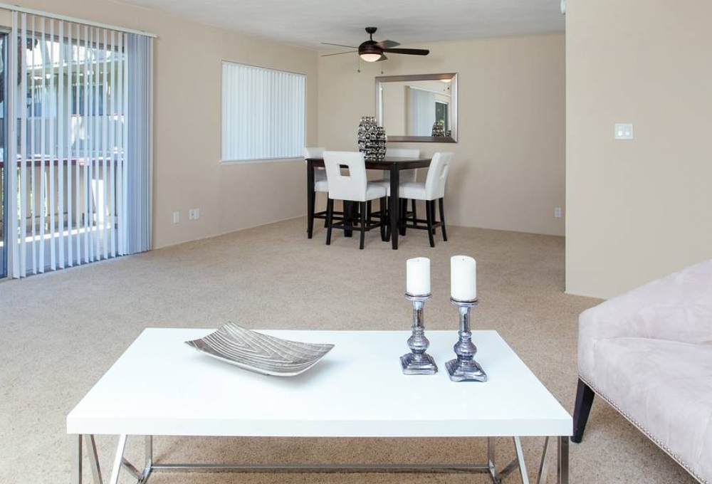 Living and Dining space Living and Dining space