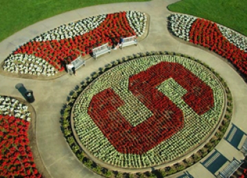 Stanford Oval