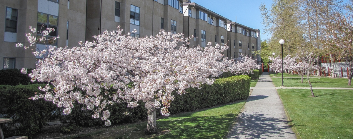 view of Lyman in spring